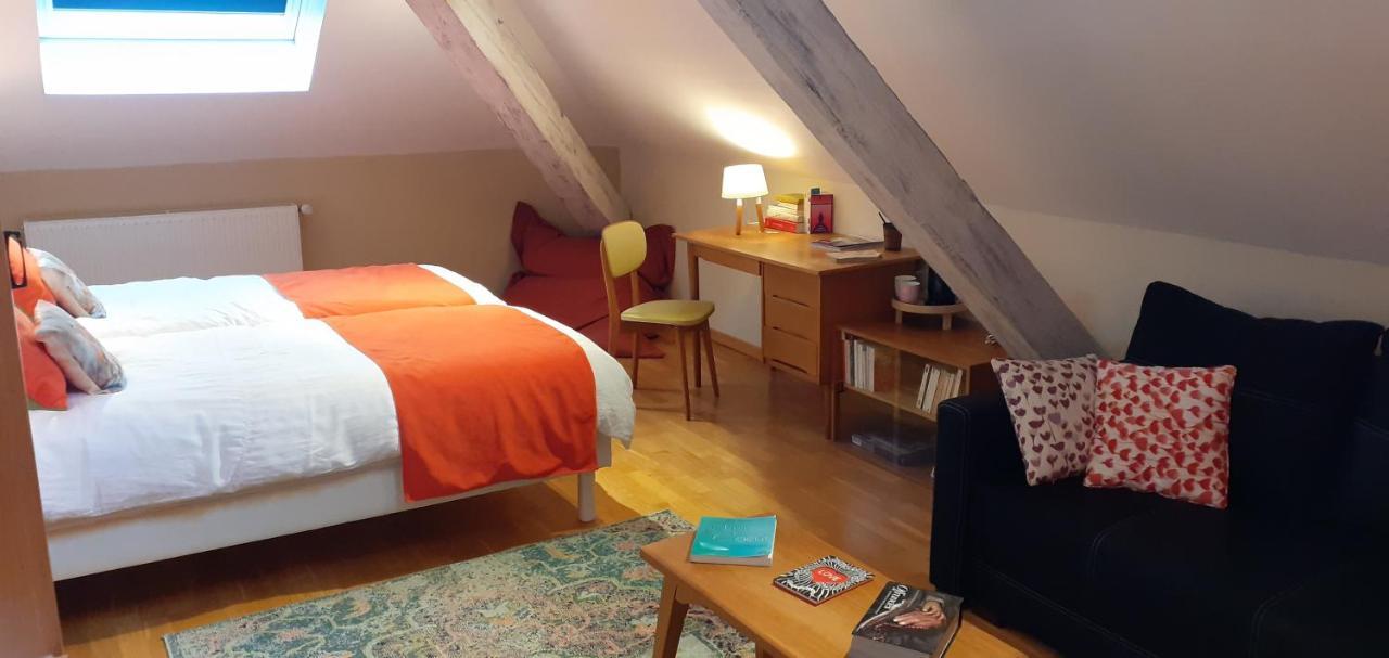 La Chouette Maison - Chambres D'Hotes Et Gite En Ville Remiremont Exterior foto